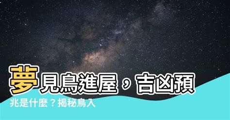 夢見鳥飛進家裡號碼|夢見鳥飛進家裡是什麼意思